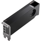 PNY Quadro RTX A2000 12GB, Grafikkarte 4x mini-DisplayPort, Bulk