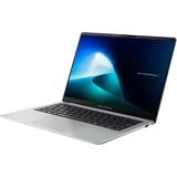 ASUS Expert Book P5 (V5405CSA-NZ0371W), Notebook silber, Windows 11 Home 64-Bit, 35.6 cm (14 Zoll) & 144 Hz Display, 512 GB SSD