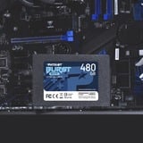 Patriot Burst Elite 480 GB, SSD schwarz, SATA 6 Gb/s, 2,5"