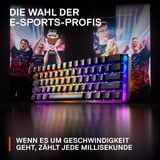 SteelSeries Apex Pro Mini, Gaming-Tastatur schwarz, DE-Layout, SteelSeries OmniPoint 2.0