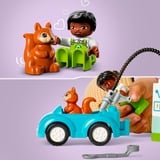 LEGO 10985 DUPLO Windrad und Elektroauto, Konstruktionsspielzeug 