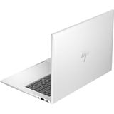 HP EliteBook 845 G11 (A26QKEA), Notebook silber, Windows 11 Pro 64-Bit, 35.6 cm (14 Zoll), 1 TB SSD