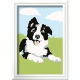 Ravensburger Malen nach Zahlen - Border Collie Welpe 