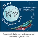 KOSMOS Triops-Welt, Experimentierkasten 