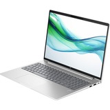 HP ProBook 460 G11 (9C0C7EA), Notebook silber, Windows 11 Pro 64-Bit, 40.6 cm (16 Zoll), 1 TB SSD