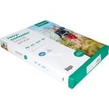 Inapa Recyconomic Trend white A3, Papier DIN A3 (500 Blatt), 80 g/m²