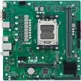 ASUS PRO A620M-DASH-CSM, Mainboard grün