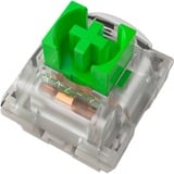 Razer Green Switch-Set, Tastenschalter grün/transparent, 36 Stück