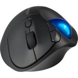 Kensington Pro Fit Ergo TB450, Trackball schwarz/blau