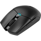 Corsair Katar Pro Wireless, Gaming-Maus schwarz