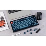 Keychron V1 Max, Gaming-Tastatur schwarz/blaugrau, DE-Layout, Gateron Jupiter Red, Hot-Swap, RGB