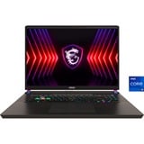 Vector 17 HX A13VIG-673, Gaming-Notebook