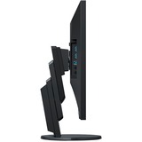 EIZO Flexscan EV2456-BK Generalüberholt, LED-Monitor 61 cm (24.1 Zoll), schwarz, WUXGA, IPS, DisplayPort, DVI, HDMI