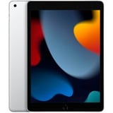 iPad 10,2" (256 GB) Generalüberholt, Tablet-PC