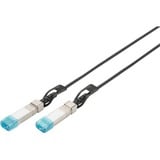 Digitus Kabel SFP+ 10G DAC (HP) schwarz, 2 Meter