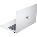 HP ENVY 17-da0075ng, Notebook silber, Windows 11 Home 64-Bit, 43.9 cm (17.3 Zoll), 1 TB SSD