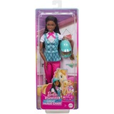 Mattel Barbie Mysteries: Die große Pferdejagd - Brooklyn, Puppe 