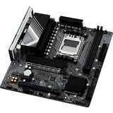 ASRock B650M-HDV/M.2, Mainboard 