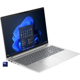 HP EliteBook 665 G11 (9C0H5EA), Notebook silber, Windows 11 Pro 64-Bit, 40.6 cm (16 Zoll), 256 GB SSD