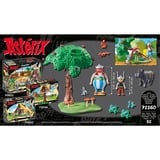 PLAYMOBIL 71160 Asterix Wildschweinjagd, Konstruktionsspielzeug 