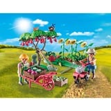 PLAYMOBIL 71380 Country Starter Pack Bauernhof Gemüsegarten, Konstruktionsspielzeug 