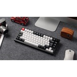 Keychron Q1 HE, Gaming-Tastatur schwarz/weiß, DE-Layout, Gateron Double-Rail Magnetic Nebula, Hot-Swap, Aluminiumrahmen, RGB