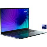 Medion S20 (MD62629), Notebook grau, Windows 11 Home 64-Bit, 43.9 cm (17.3 Zoll), 1 TB SSD