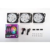 Cooler Master Mobius 120P ARGB 120x120x25, Gehäuselüfter schwarz, 3er Pack, 120 mm