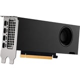 PNY Quadro RTX A2000 12GB, Grafikkarte 4x mini-DisplayPort