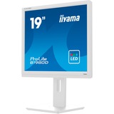 iiyama B1980D-W5, LED-Monitor 48 cm (19 Zoll), weiß, SXGA, TN, VGA, DVI