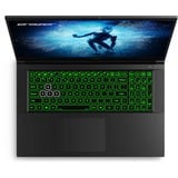 Medion ERAZER Defender P50i (30038543) , Gaming-Notebook schwarz, Windows 11 Home 64-Bit, 43.9 cm (17.3 Zoll) & 144 Hz Display, 1 TB SSD