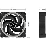 Arctic BioniX P120 A-RGB, Gehäuselüfter schwarz