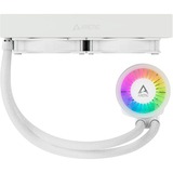 Arctic Liquid Freezer III 240 A-RGB, Wasserkühlung weiß