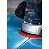 Bosch Expert C470 Schleifblatt, Ø 125mm, K180 Multilochung 5 Stück, für Exzenterschleifer