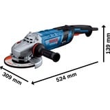 Bosch Winkelschleifer GWS 30-230 PB Professional blau/schwarz, 2.800 Watt