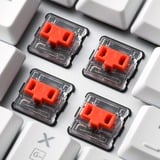 Sharkoon PureWriter RGB, Gaming-Tastatur weiß, US-Layout, Kailh Choc Low Profile Red