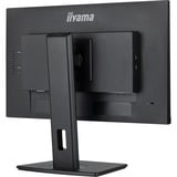 iiyama ProLite XUB2492HSU-B6, LED-Monitor 60.5 cm (23.8 Zoll), schwarz (matt), FullHD, AMD Free-Sync, IPS, 100Hz Panel