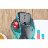 KeySonic KSM-6101RF-EGT, Trackball grau/rot