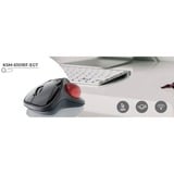 KeySonic KSM-6101RF-EGT, Trackball grau/rot