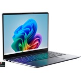 Medion SPRCHRGD 14 S1 Elite (MD62536), Notebook grau, Windows 11 Home 64-Bit, 35.6 cm (14 Zoll), 1 TB SSD