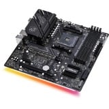 ASRock B550M PG RIPTIDE, Mainboard 