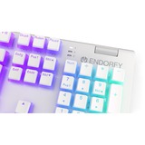 ENDORFY Omnis Pudding Onyx White, Gaming-Tastatur weiß, DE-Layout, Kailh RGB Red