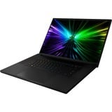 Razer Blade 18 -2024- (RZ09-0509SGK3-R3G1), Gaming-Notebook schwarz, Windows 11 Home 64-Bit, 45.7 cm (18 Zoll) & 300 Hz Display, 1 TB SSD