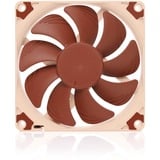 Noctua NF-A9x14 PWM, Gehäuselüfter braun/weiß, 92 mm