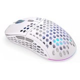 ENDORFY LIX Onyx White Wireless, Gaming-Maus weiß/grau