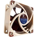 Noctua NF-A6x25 PWM, Gehäuselüfter 60 mm