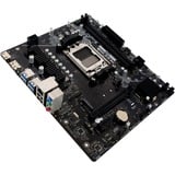 Biostar B650MT, Mainboard 