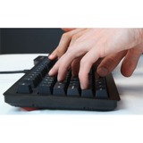 Das Keyboard 4 Professional root, Gaming-Tastatur schwarz, US-Layout, Cherry MX Brown