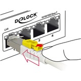 DeLOCK Kabel RJ45 Secure Cat.6A weiß, 2 Meter, verriegelbar, LSOH Halogenfrei