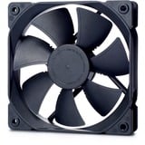 Fractal Design Dynamic X2 GP-12 PWM, Gehäuselüfter schwarz, 120 mm